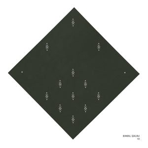 QALBU -10 (MOUNTAIN VIEW)