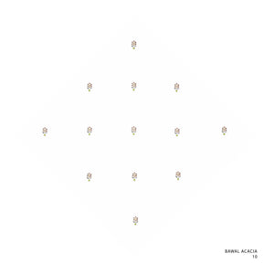 ACACIA-10 (OFF WHITE)