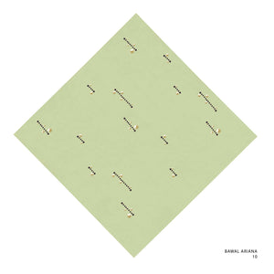 ARIANA - 10 (BEECHNUT)