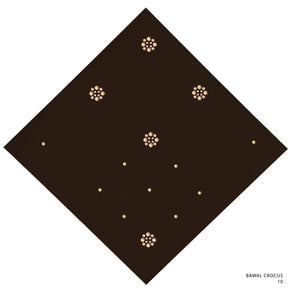 CROCUS NB - 10 (CHICORY COFFEE)