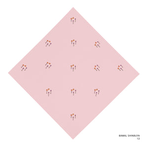 SHINBUYA -12 (VEILED ROSE)