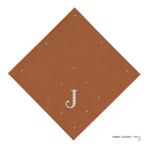 TN100- 13 (J)