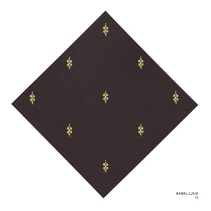 LUSIA- 13 (CHICORY COFFEE)
