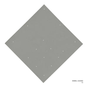 LEGEND 2.0 - 13 (MORNING DOVE)