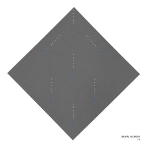 MEMOIR- 14 (QUIET SHADE)