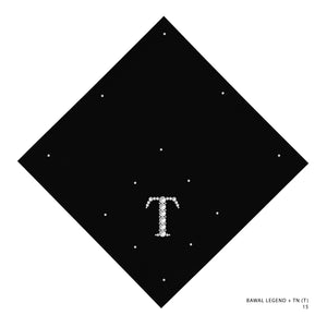 TN100- 15 (T)