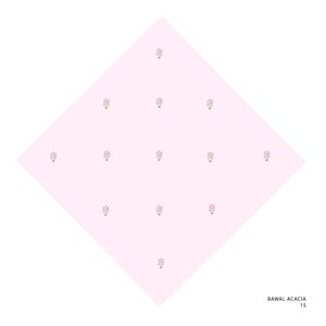 ACACIA- 8 (PINK MARSHMALLOW)