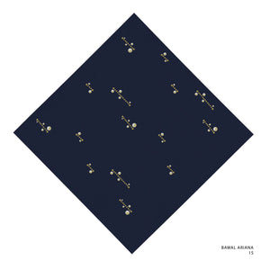 ARIANA - 15 (PAGEANT BLUE)