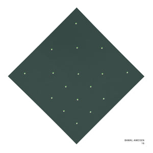 AMEISEN - 16 (DARK GREEN- LIGHT GREEN)