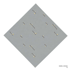ARIANA - 16 (DRIZZLE)