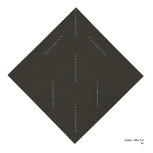 MEMOIR- 16 (CLIMBING IVY)