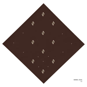 KAIA- 17 (CHICORY COFFEE)