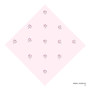 SHINBUYA -17 (LIGHT PEACH)