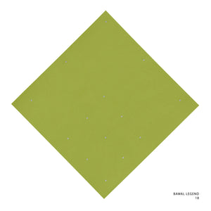 LEGEND 2.0 - 18 (WARM OLIVE)