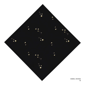 ARIANA - 18 (BLACK BEAUTY)