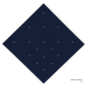 AMEISEN - 19 (NAVY BLUE)