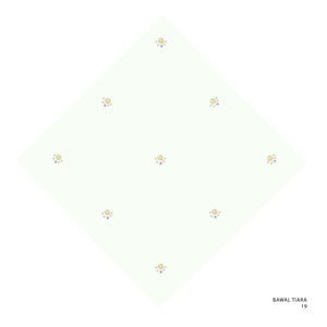 TIARA- 19 (COCONUT MILK)