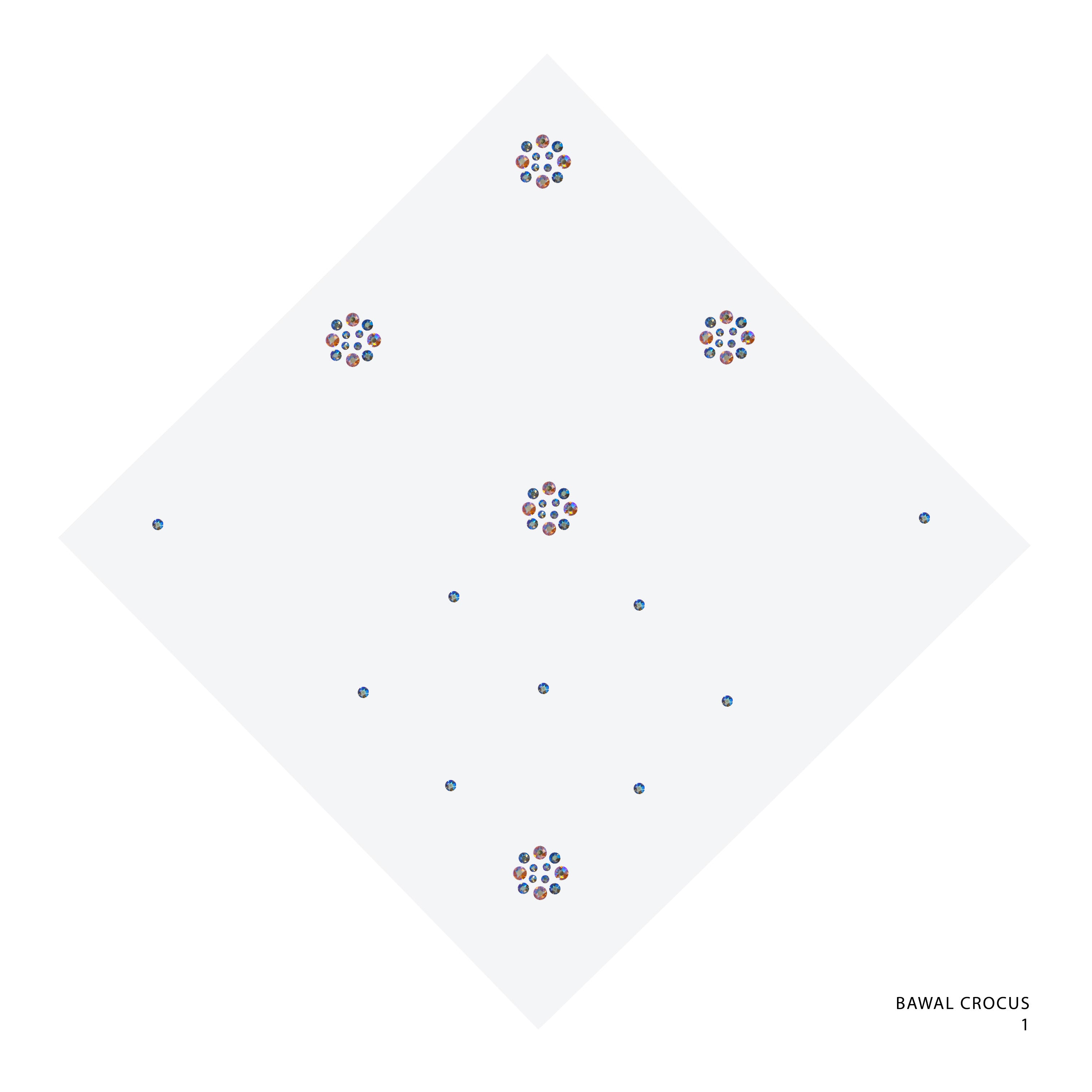 BAWAL CROCUS