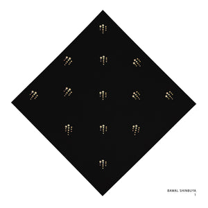 SHINBUYA -1 (BLACK BEAUTY-YELLOW)