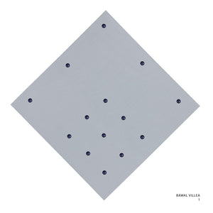 VILLEA- 1 (MICROCHIP)