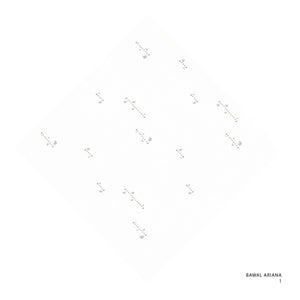 ARIANA - 1 (COCONUT MILK)
