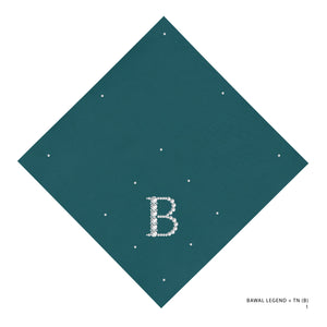 TN110 - 1 (B)