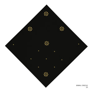 CROCUS NB - 20 (BLACK BEAUTY-GOLD)