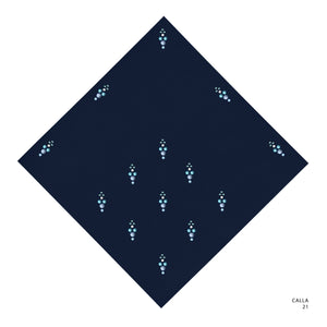 CALLA- 21 (SKY CAPTAIN)