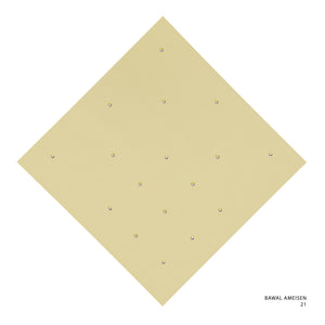 AMEISEN - 21 (MISTED YELLOW)