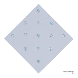 SHINBUYA -22 (SILVER GREY)
