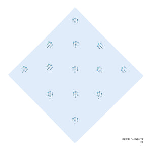SHINBUYA -23 (SILVER BLUE)