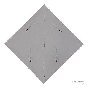 MEMOIR- 23 (ASH)
