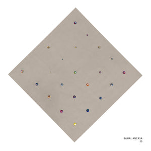 ANCASA- 25 (BROWN RICE)