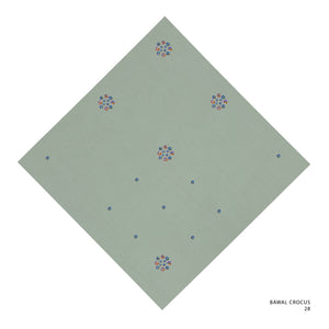 CROCUS- 28 (GREEN LILY)