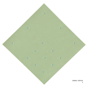 SOPHIA -2 (LINT)