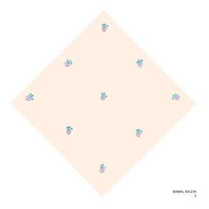 RAIZIN- 2 (LIGHT PEACH)