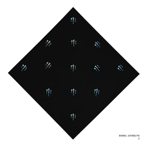 SHINBUYA -2 (BLACK BEAUTY-BLUE)