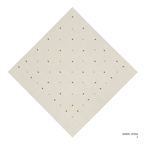 ATINA - 2 (WHITE SWAN)