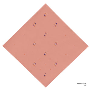 KAIA- 30 (LOBSTER BISQUE)