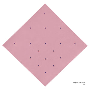 AMEISEN - 31 (ROSE ELEGENCE)
