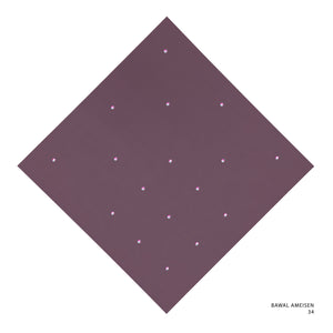 AMEISEN - 34 (WILD GINGER)