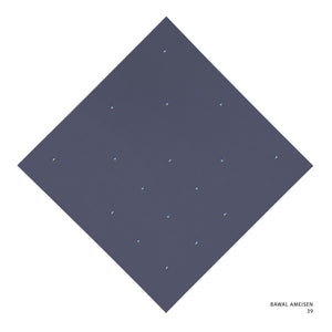 AMEISEN - 39 (QUICKSILVER)