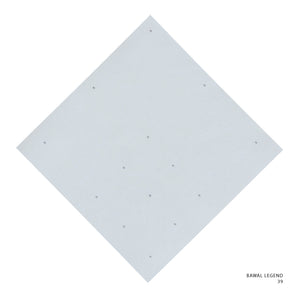 LEGEND 2.0 - 39 (GLACIER GRAY)