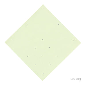 LEGEND 2.0 - 42 (TENDER YELLOW)