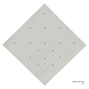 AMEISEN - 42 (PUMICE STONE)