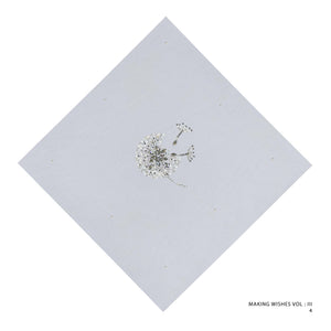 MW VOL IV : CODE 4 (SILVER GREY)