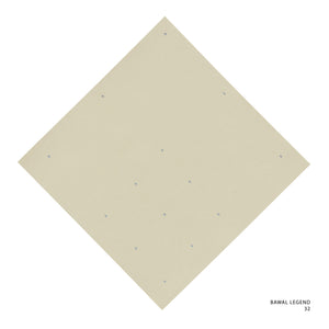 LEGEND 2.0 - 53 (OYSTER GRAY)