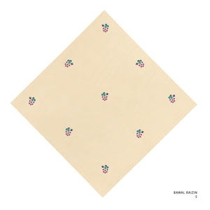 RAIZIN- 5 (PALE PEACH)
