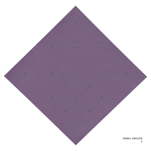 AMEISEN - 5 (CHINESE VIOLET)