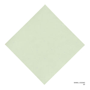 LEGEND 2.0 - 69 (ASPARAGUS GREEN)